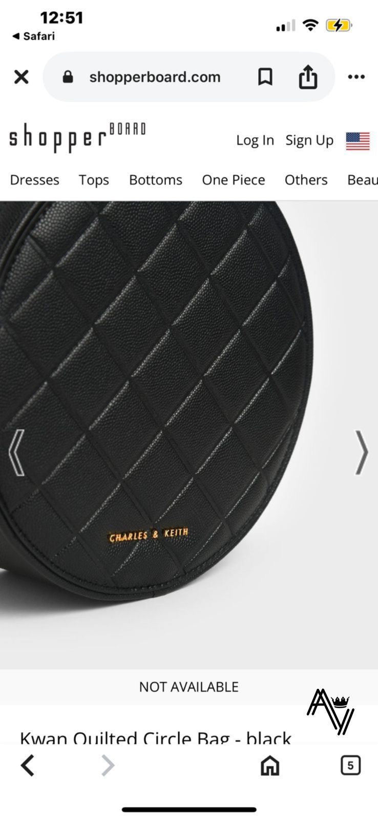 Charles & Keith Kwan Quilted Black Circle Bag