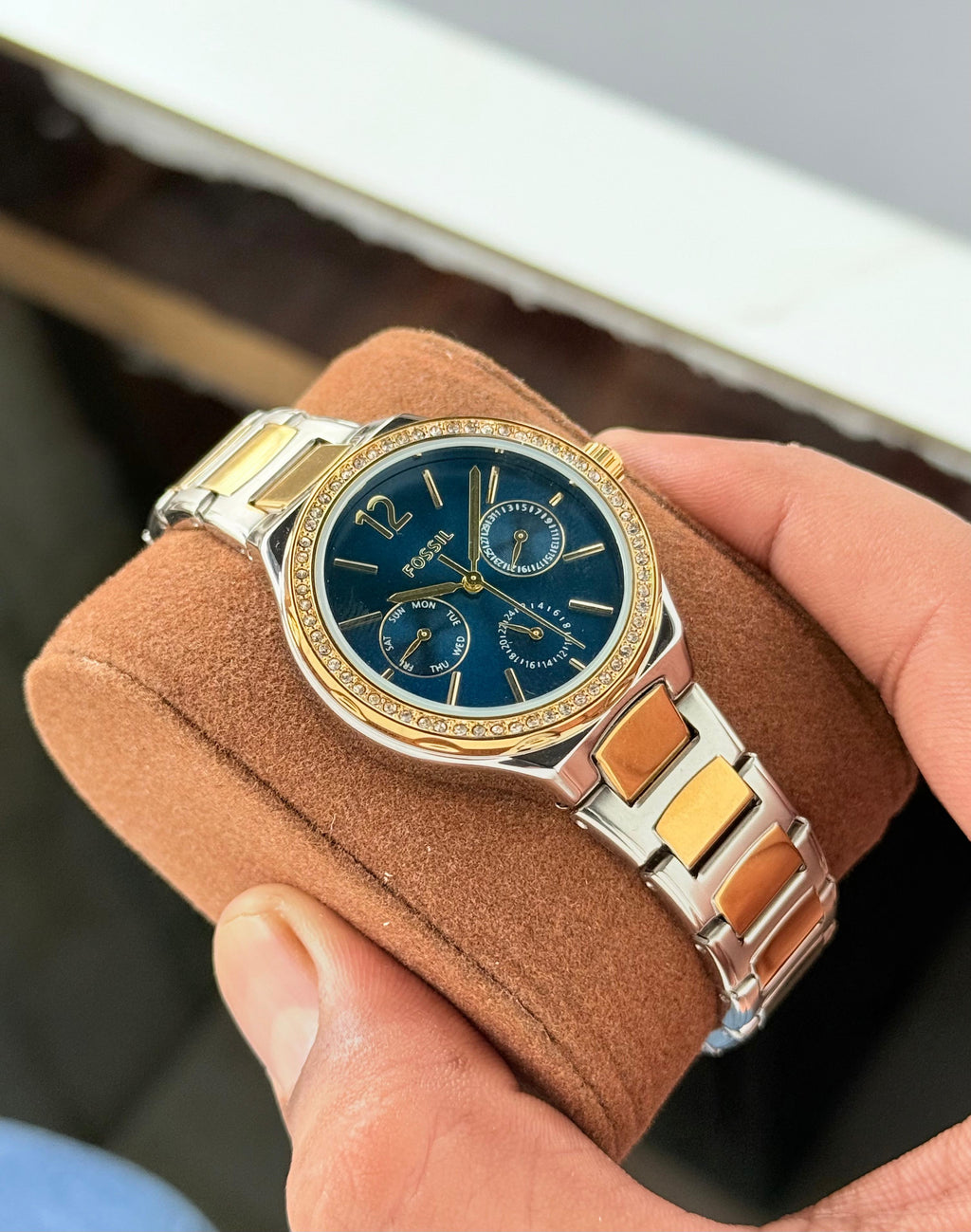 Fossil Eevie Collection