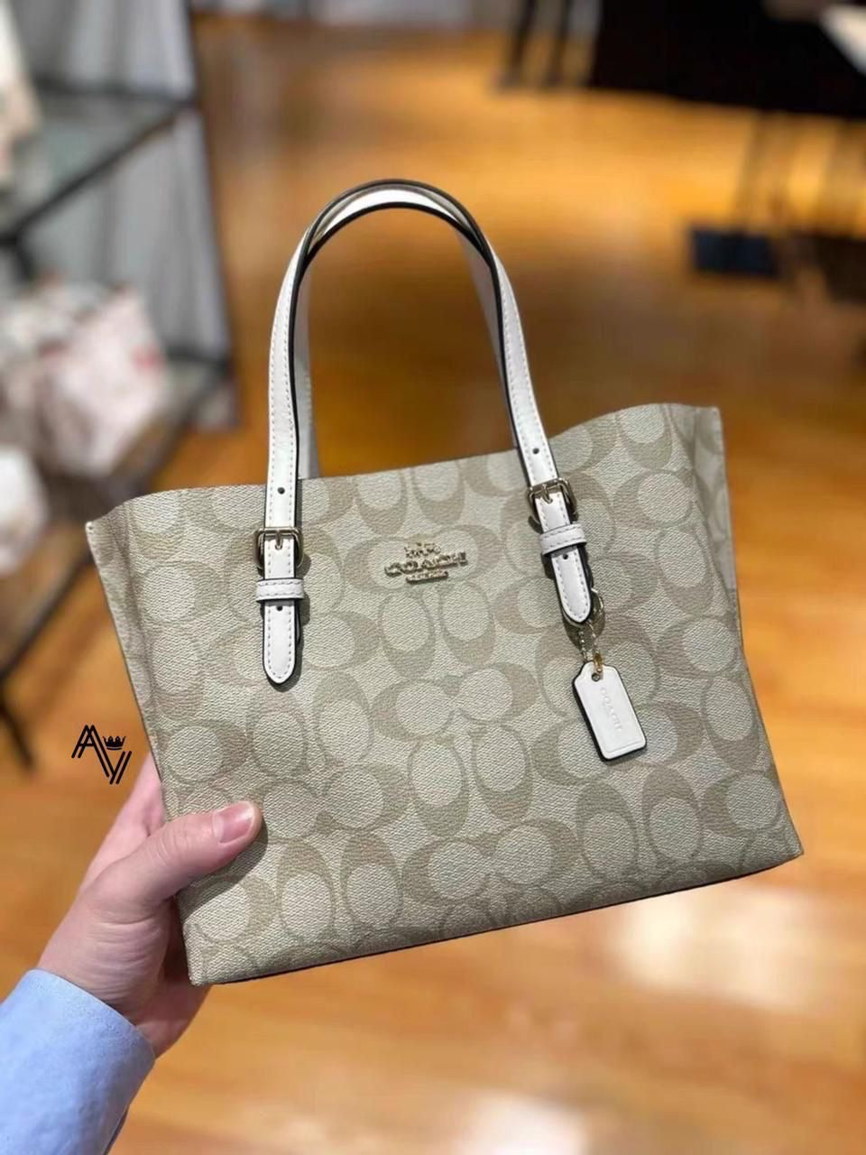 Coach Mollie Tote Bag