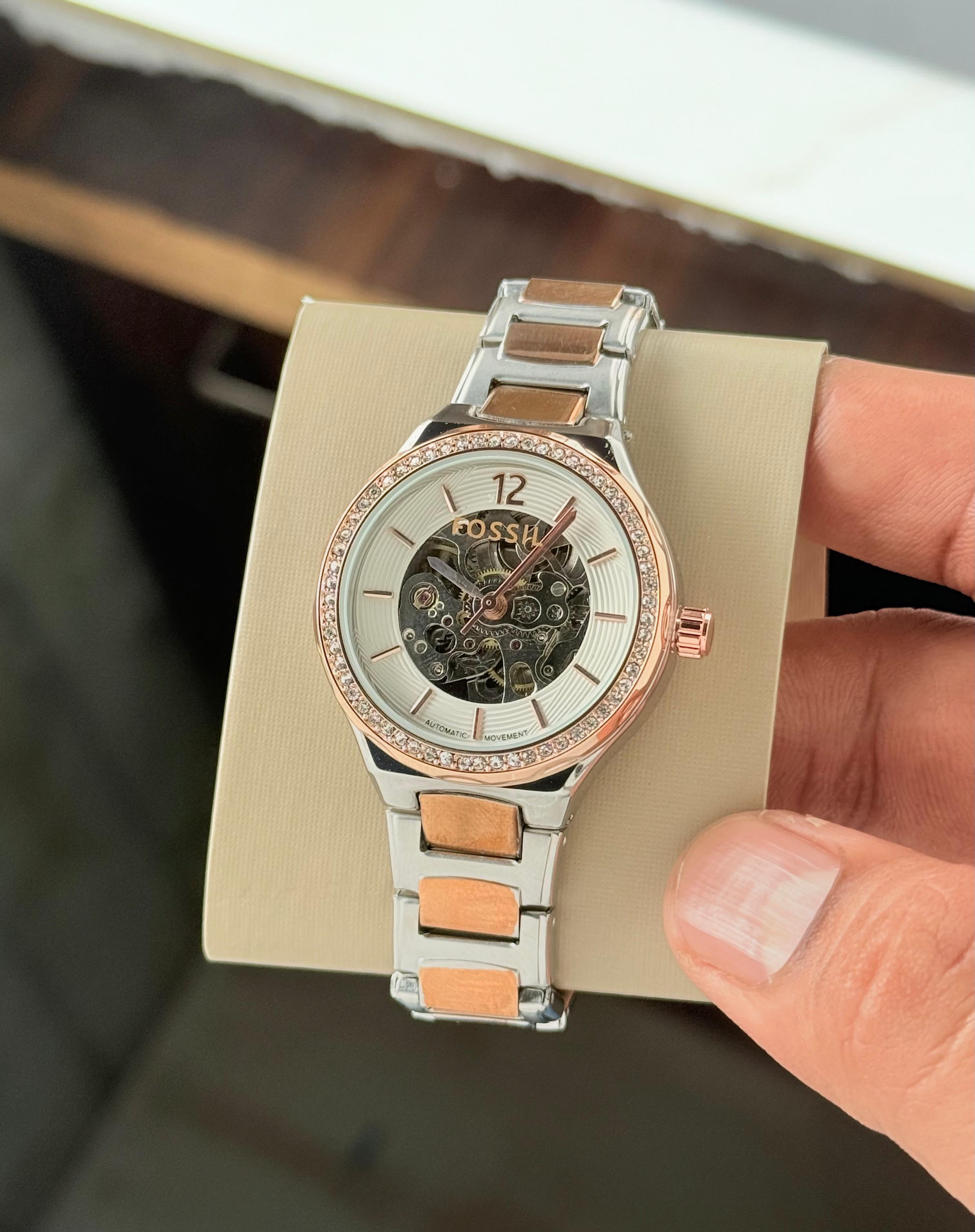 Fossil Eevie Skeleton Collection