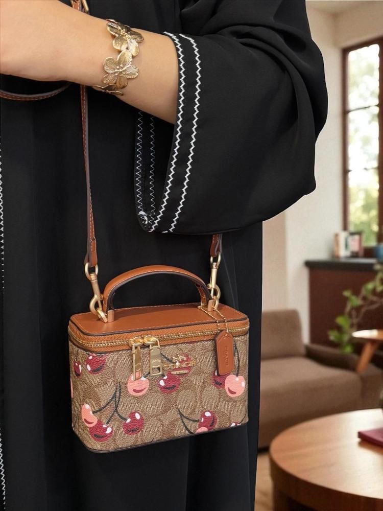 Coach Signature Vanity Case Bag