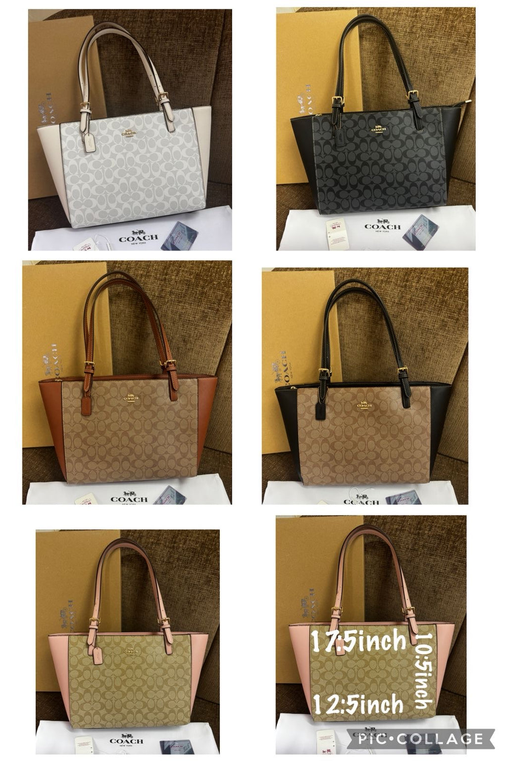 Coach Signature Tote