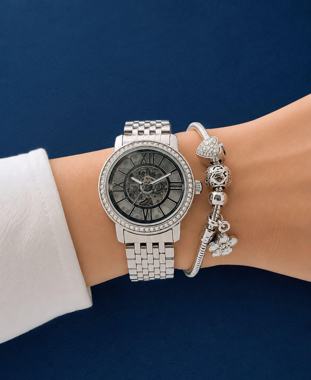 Fossil Curiosity Collection