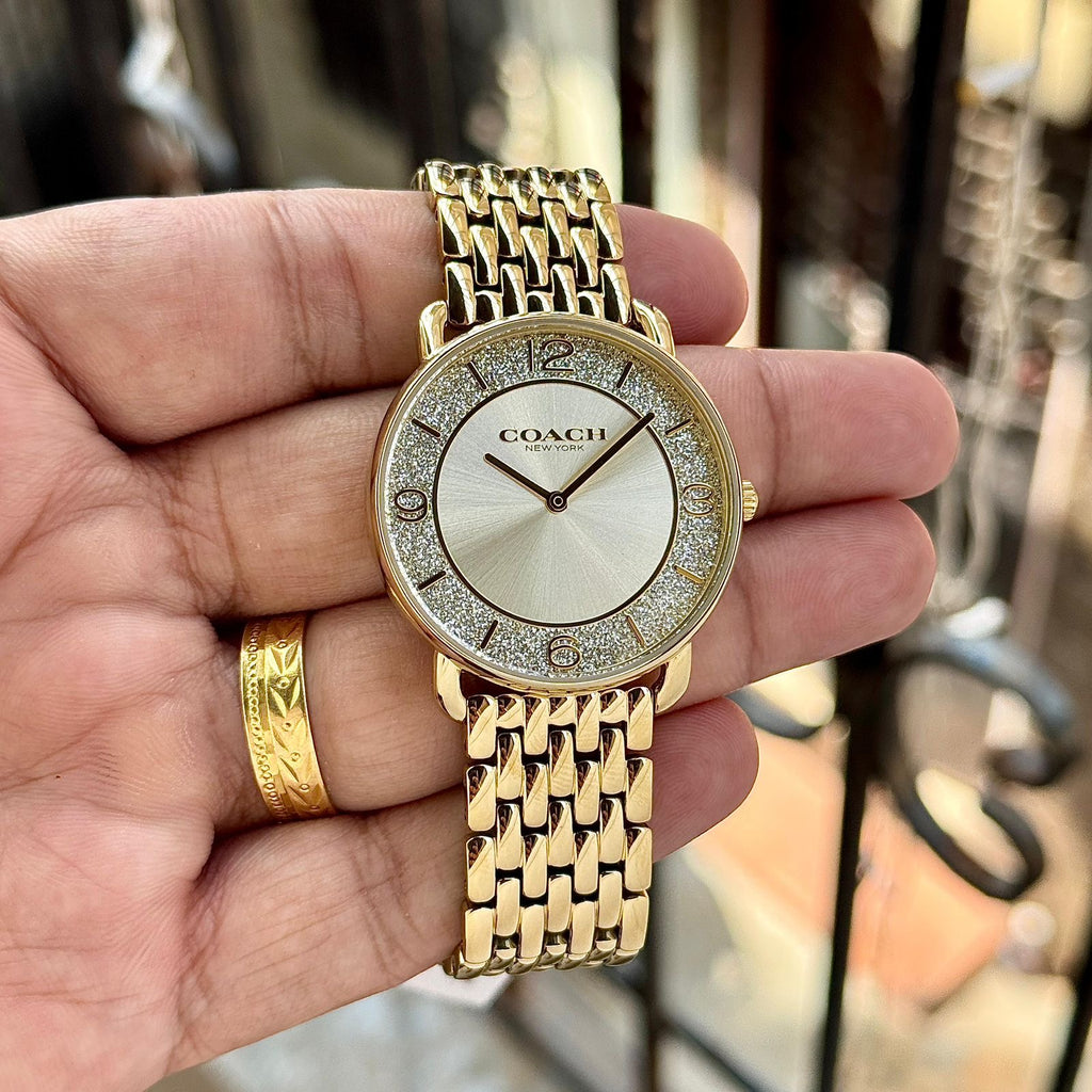 Coach Elliot Glitter Dial Series