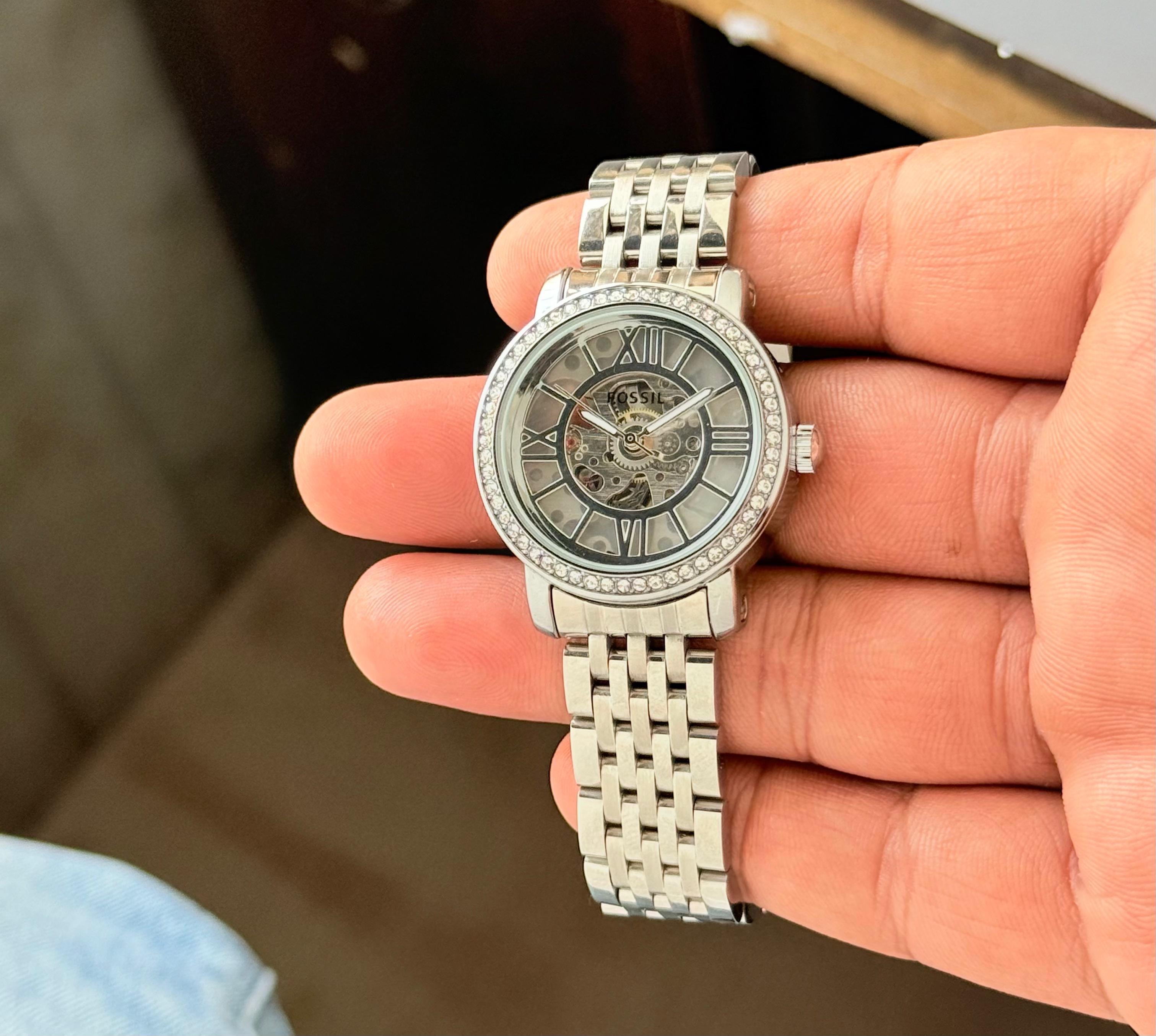 Fossil Curiosity Collection