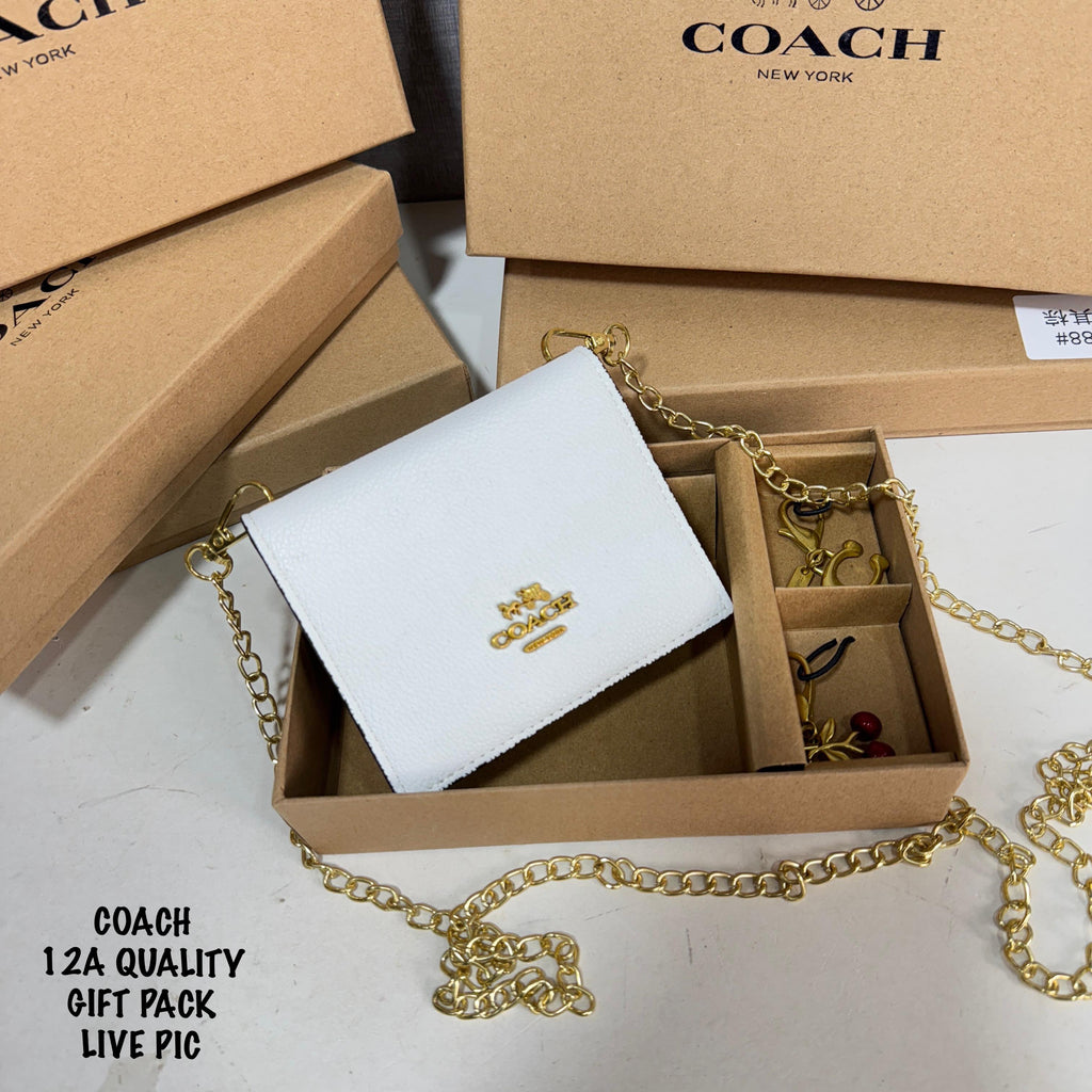 Coach Mini Wallet With Metal Sling