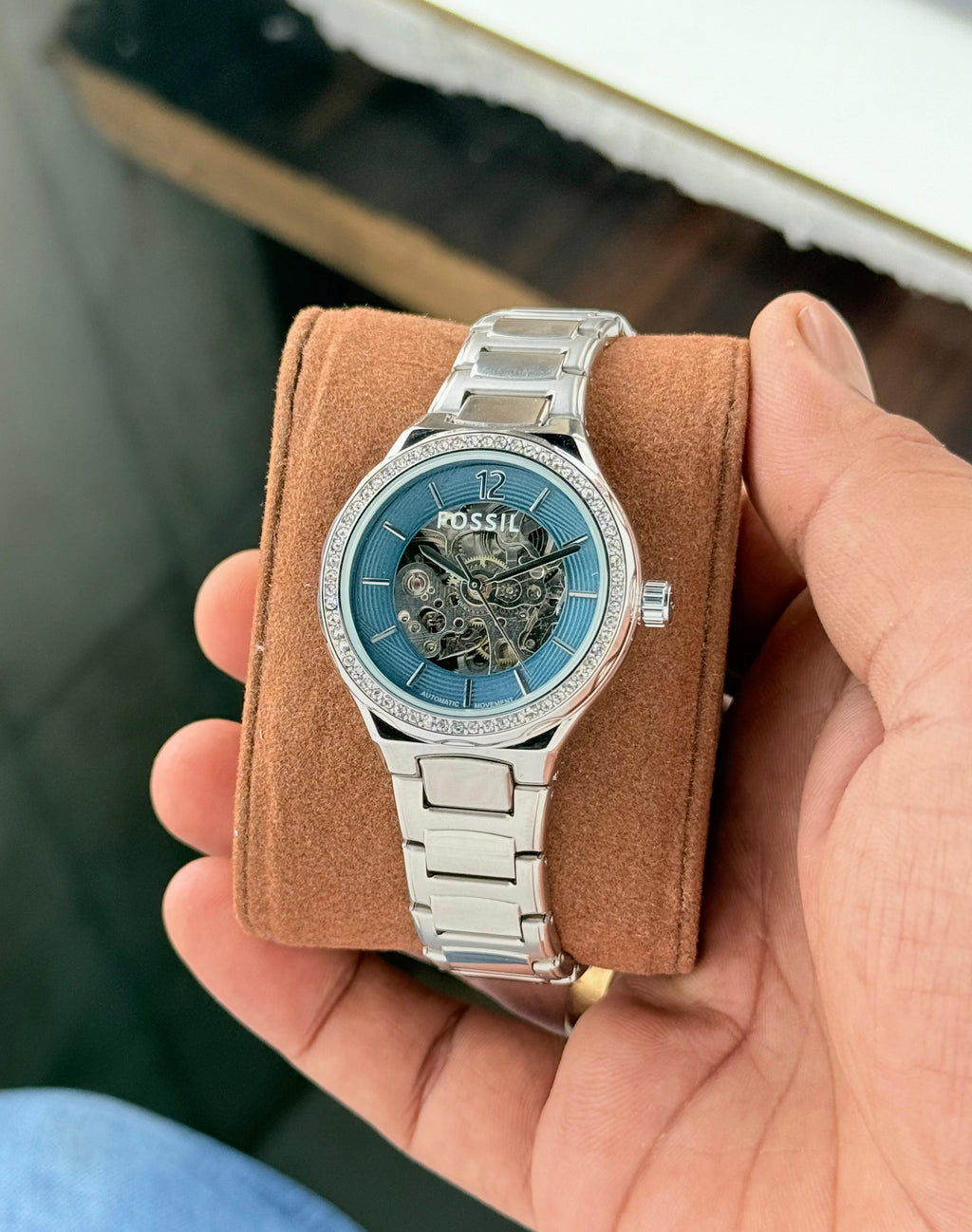 Fossil Eevie Skeleton Collection