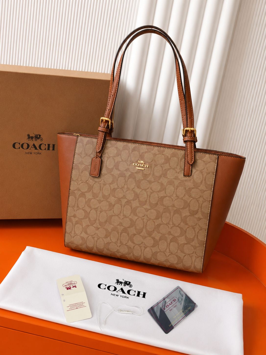 Coach Signature Tote