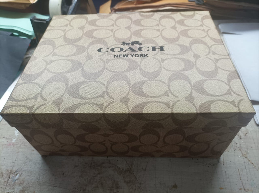 Coach Teri Hobo Shoulder Bag