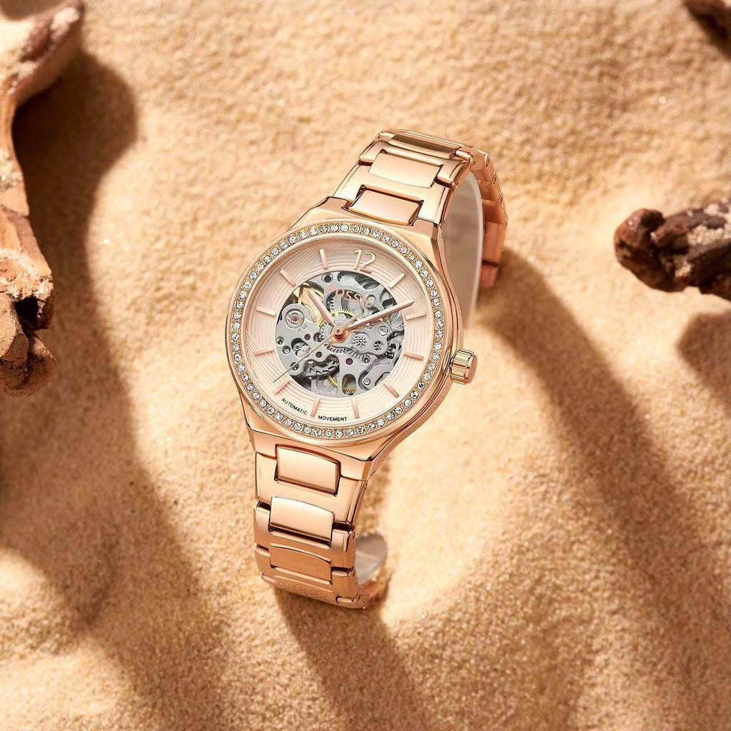 Fossil Eevie Skeleton Collection
