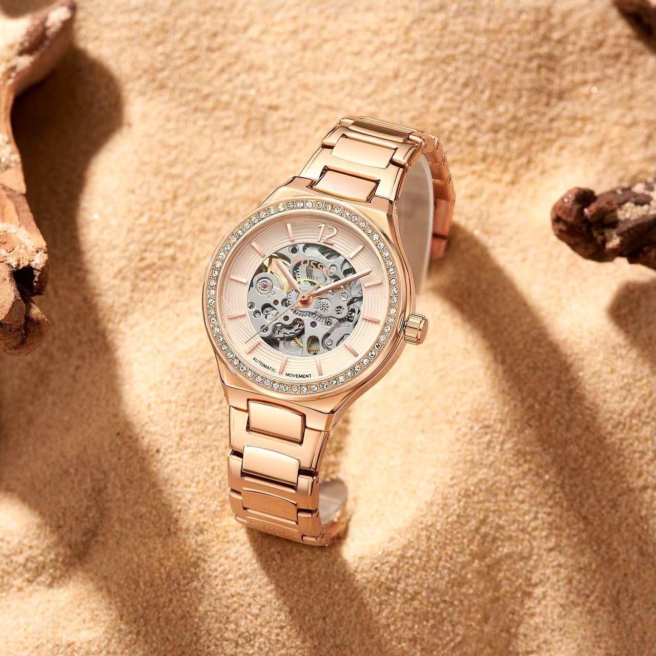 Fossil Eevie Skeleton Collection