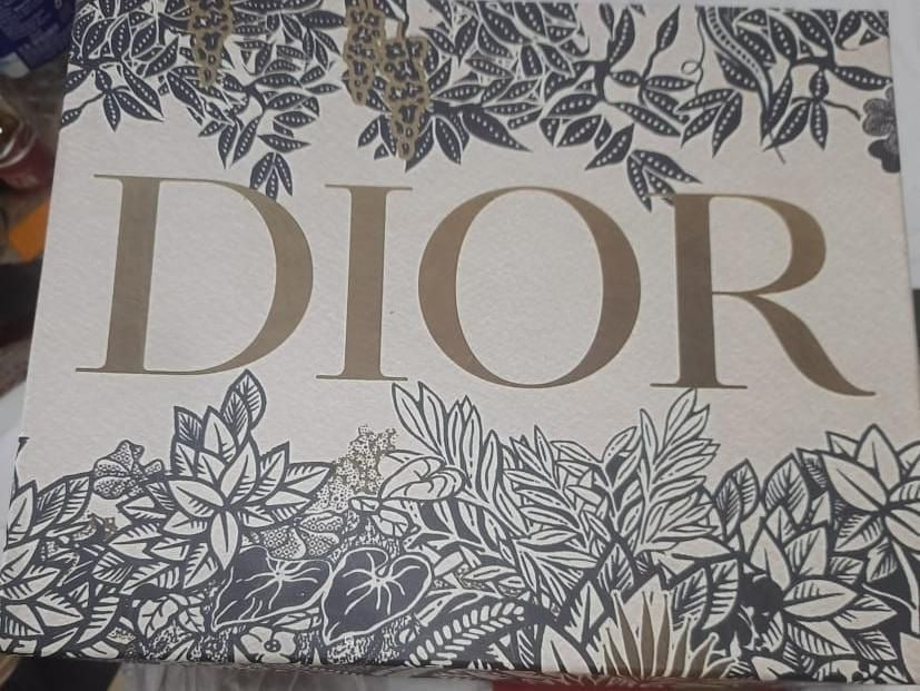 Christian Dior Saddle Shoulder Bag