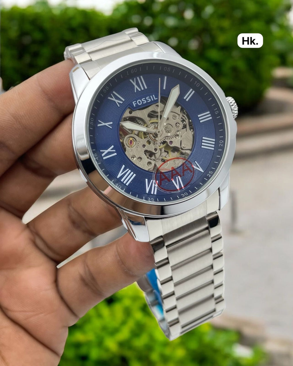 Fossil Skeleton Automatic