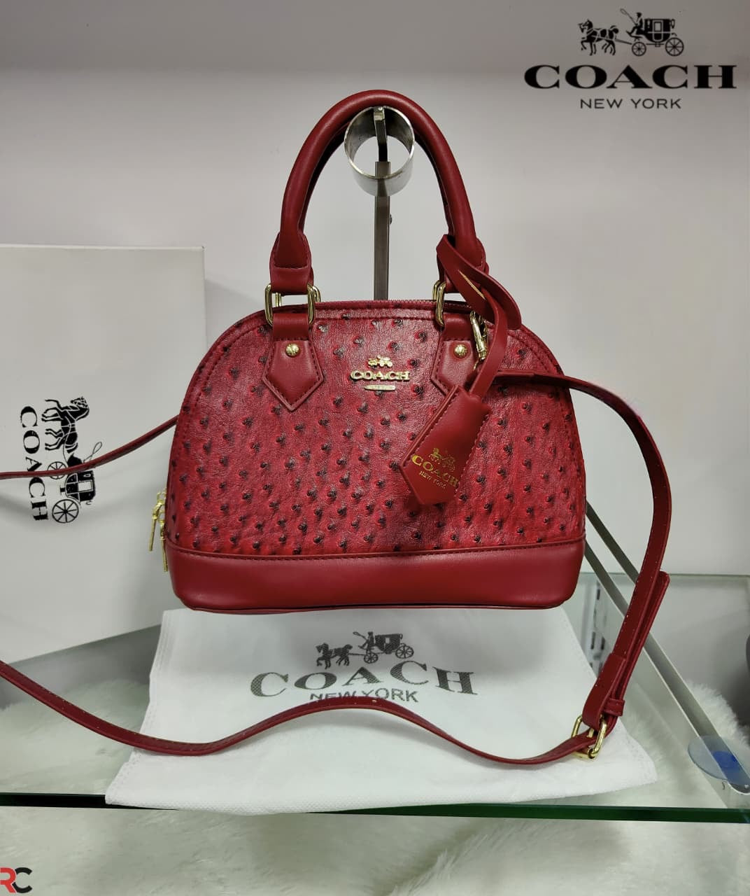 Coach Textured Ostrich Style Alma Bag