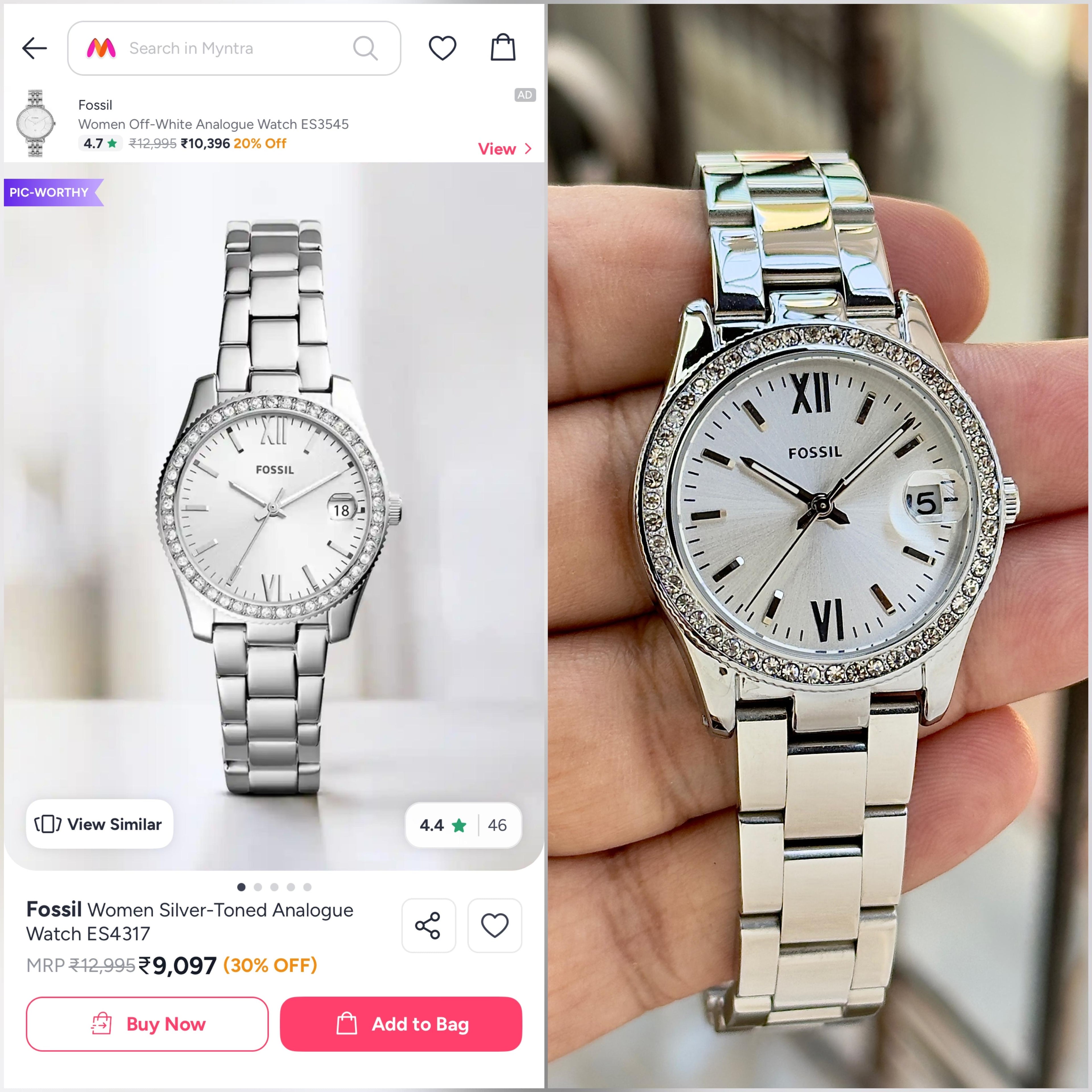 Fossil Scarlette