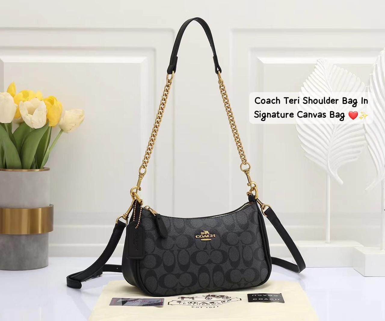 Coach Teri Signature Canvas Bag