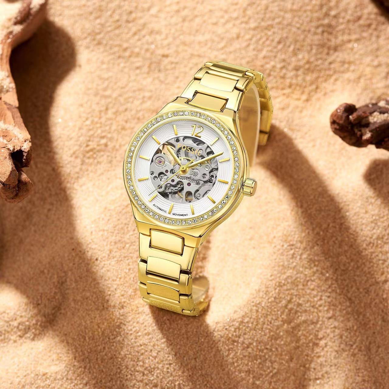 Fossil Eevie Skeleton Collection