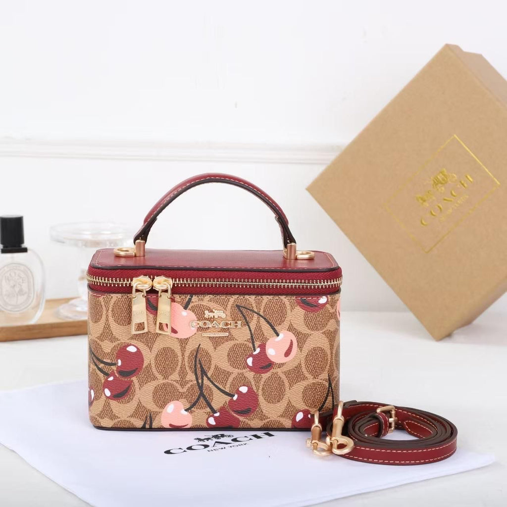 Coach Signature Vanity Case Bag