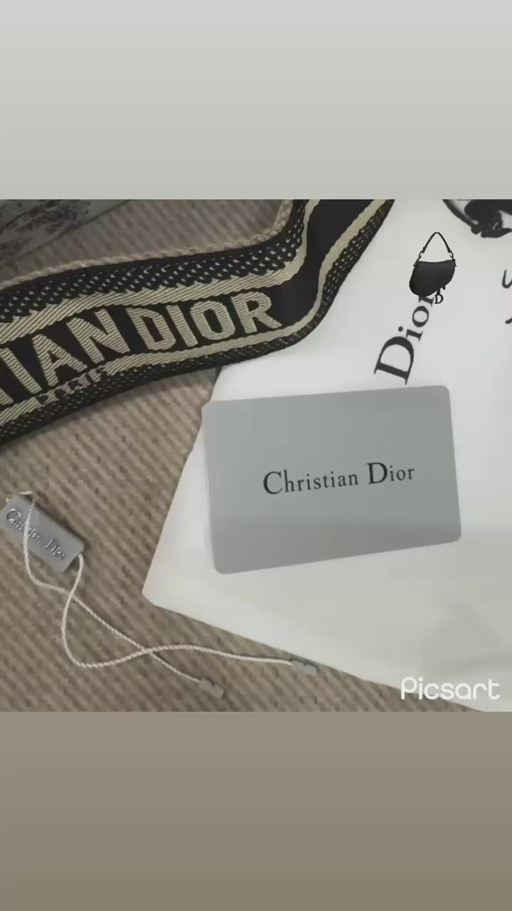 Christian Dior Saddle Bag