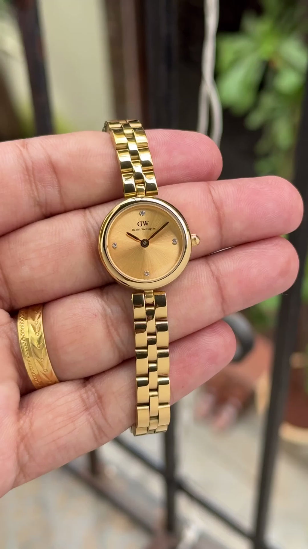 Daniel Wellinton Elan Lumine Malachite