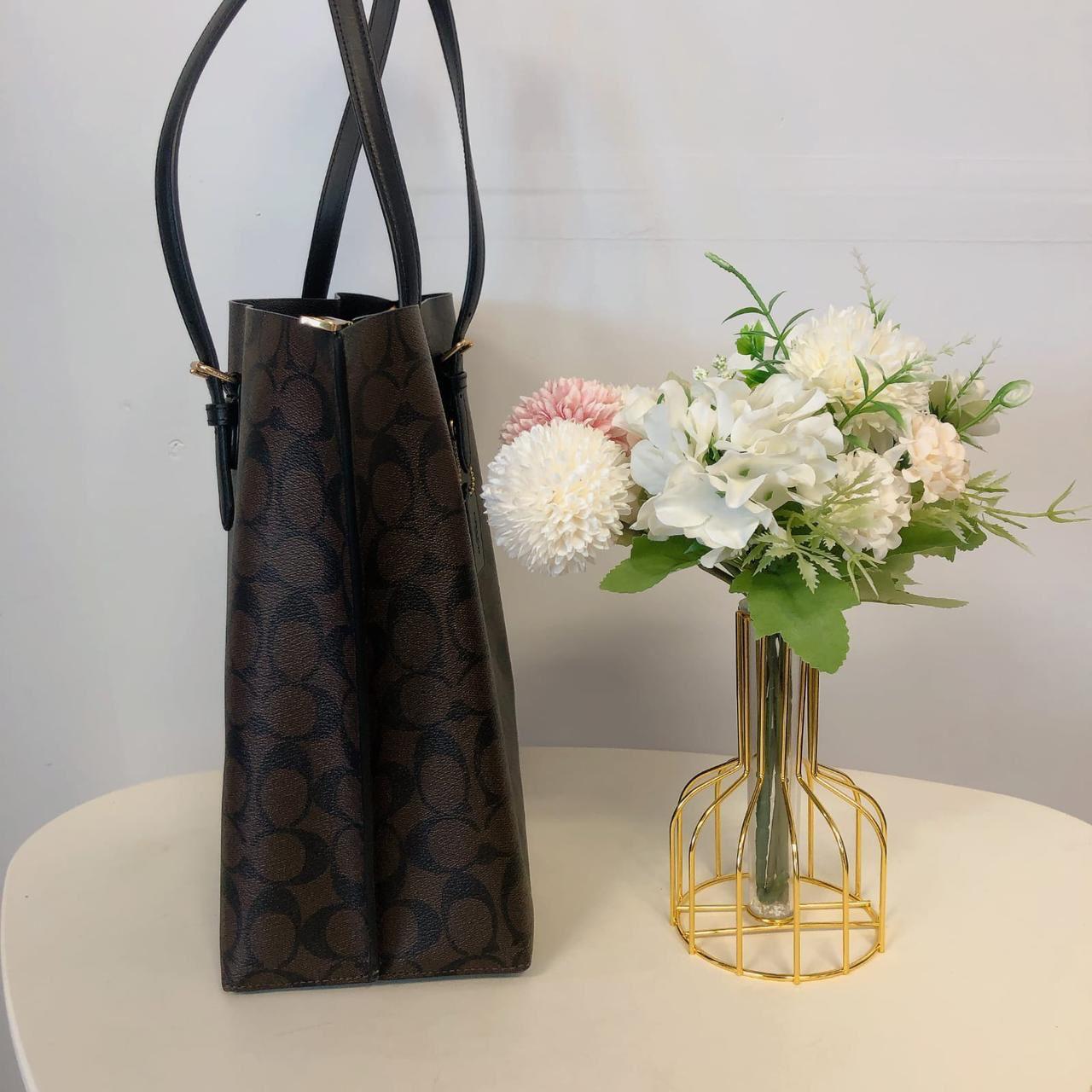 Coach Mollie Tote Bag