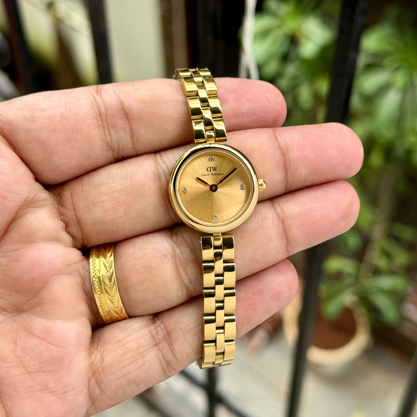 Daniel Wellinton Elan Lumine Malachite