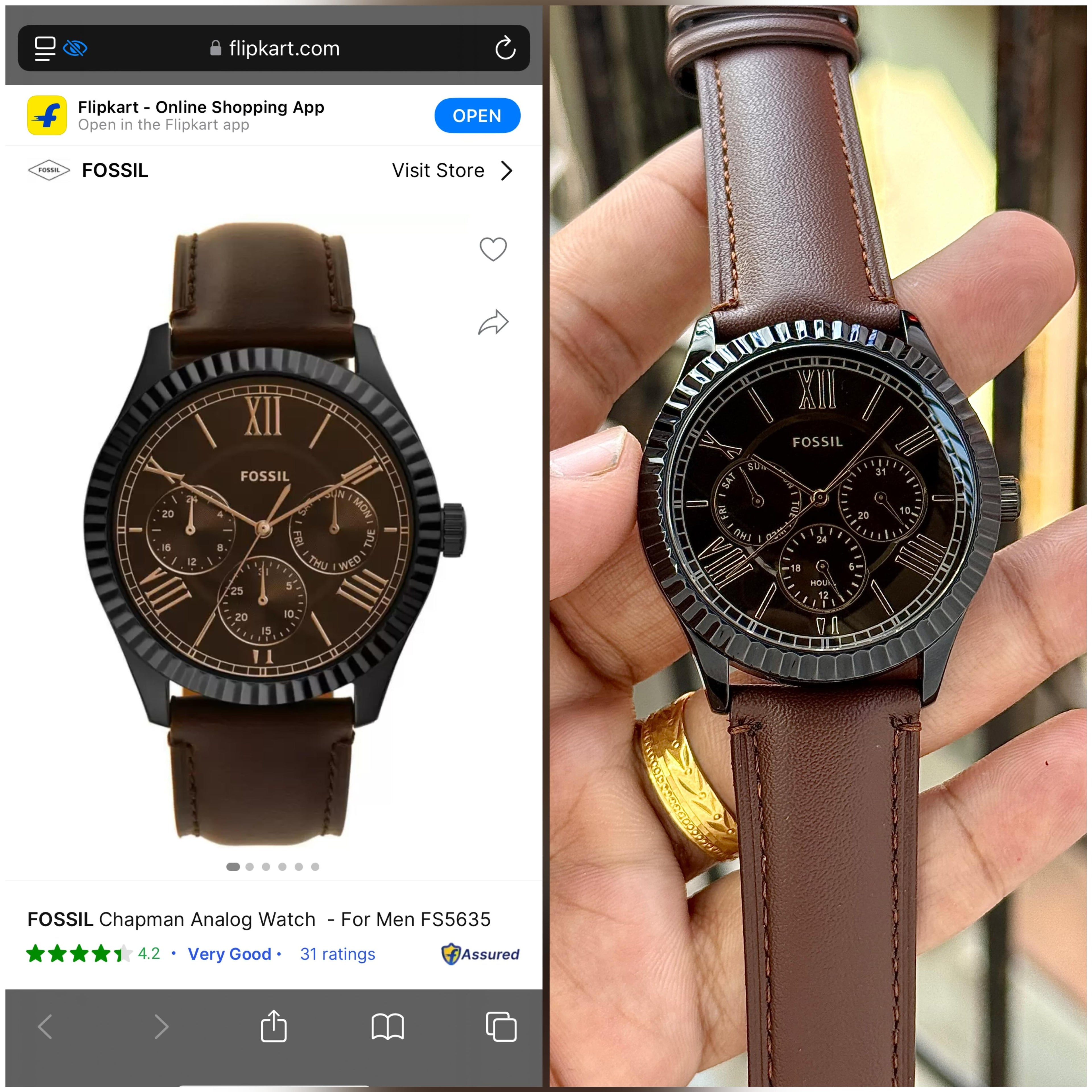 Fossil Chapman Series