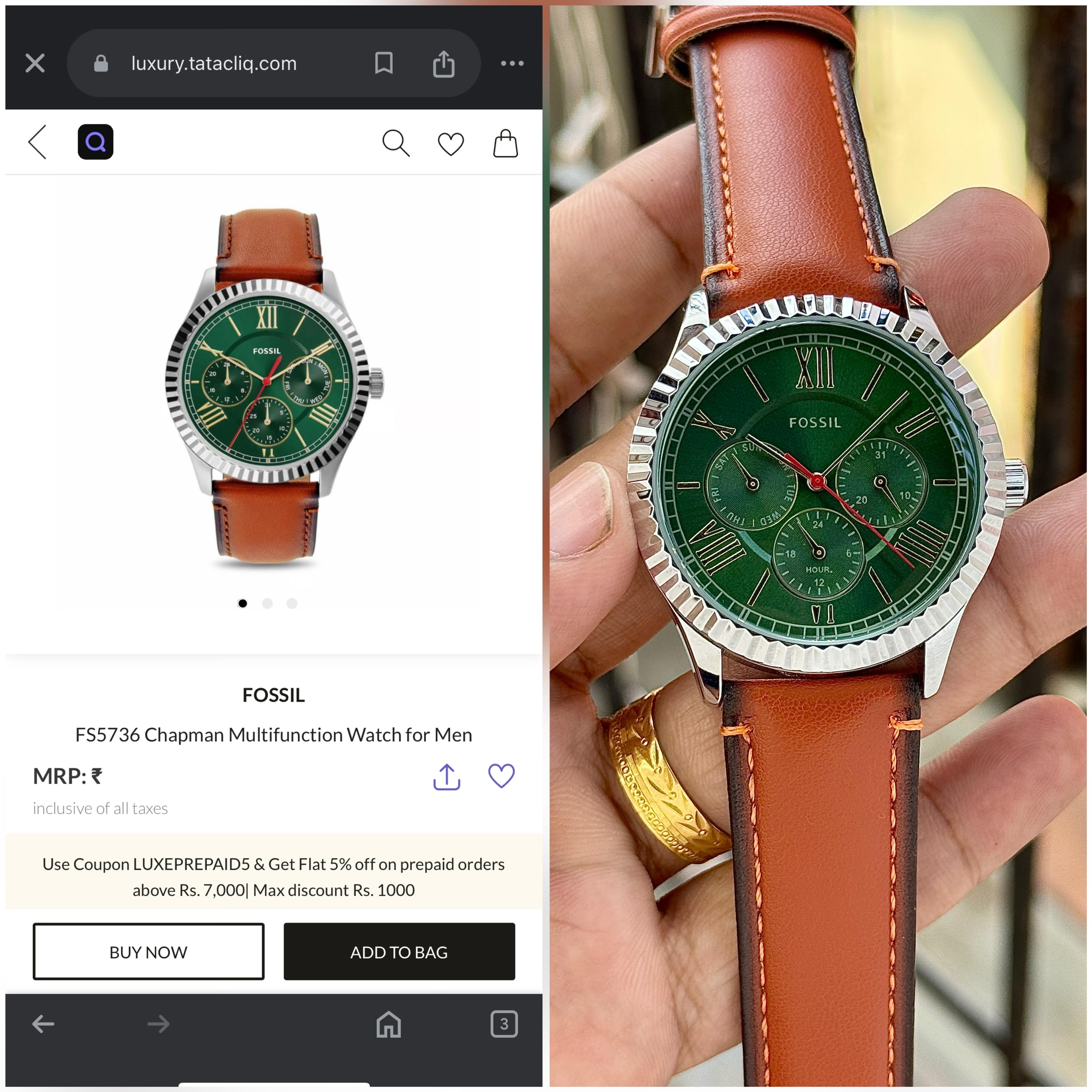 Fossil Chapman Series