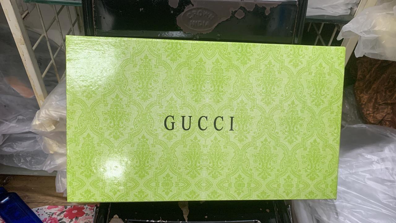 Gucci Ophidia Speedy