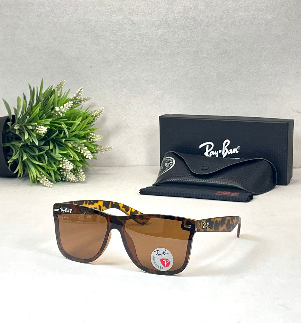 Rayban Polarized Lens